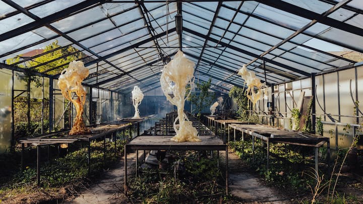 <p>Alcova: «Ghost Orchid» hiess die immersive Installation mit 3D-gedruckten Skulpturen vom polnischen Künstler Marcin Rusak.</p>