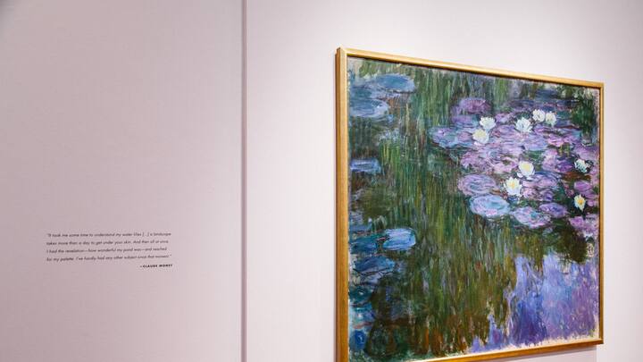 Claude Monets Seerosenteich «Nymphéas en fleur»