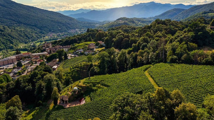 Das Weingut Vallombrosa von Claudio Tamborini