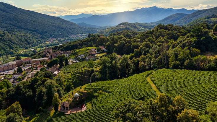 Das Weingut Vallombrosa von Claudio Tamborini