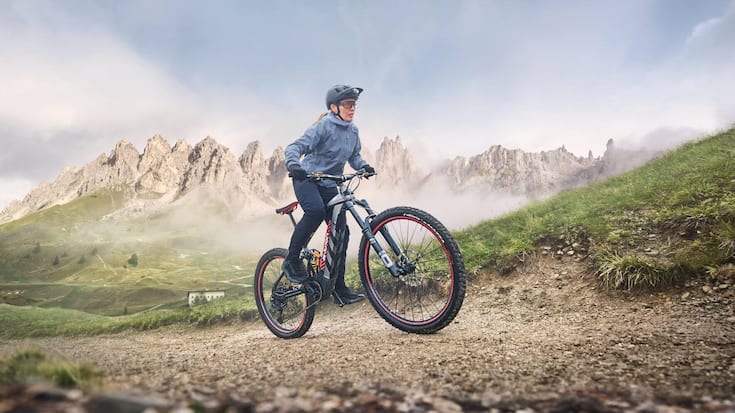 AUDI eBike by Fantic