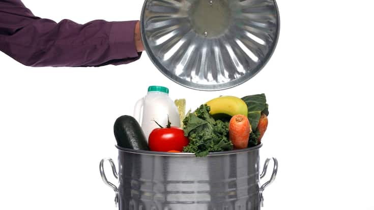 Food_Waste_Lebensmittel_Abfall