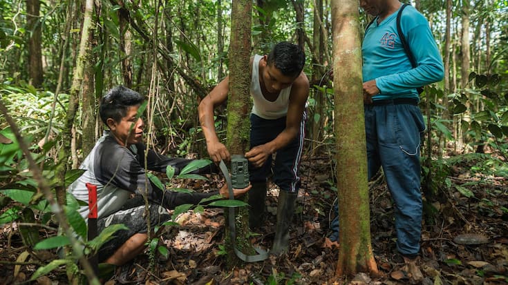 South Pole Klimaagentur