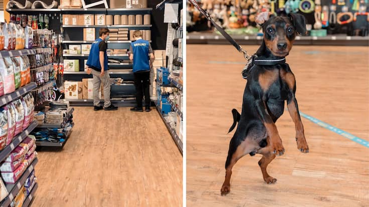 tierische_rendite_teaser