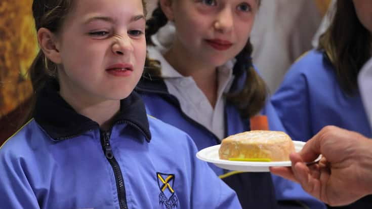 Stinking_Bishop_Kaese