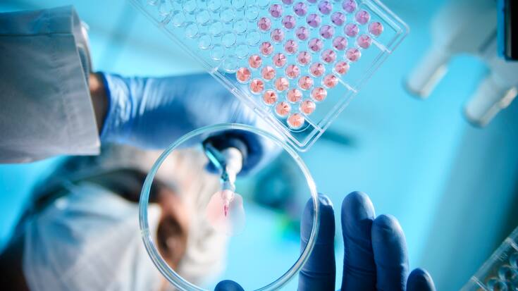 A scientist using a pipette with a microtiter plate and a petri dish
