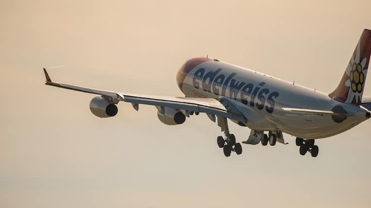 Edelweiss