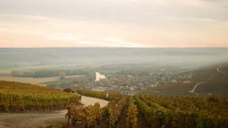 BIL_2009_Champagner.jpg