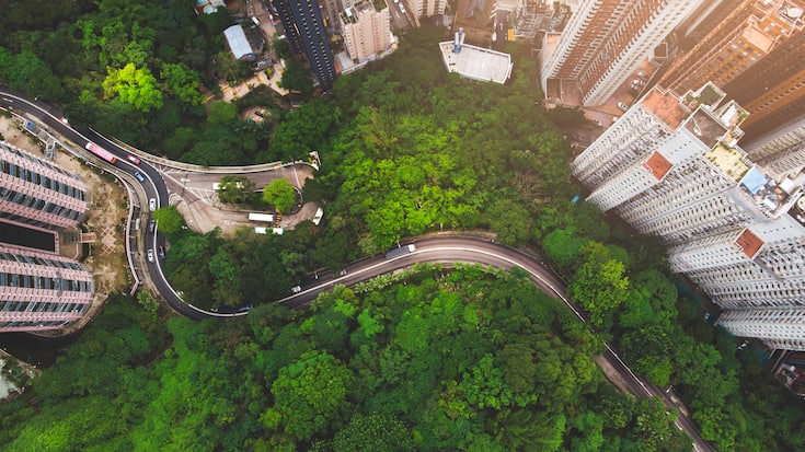 Aerial view of curve road in forest against buildings in Hong Kong