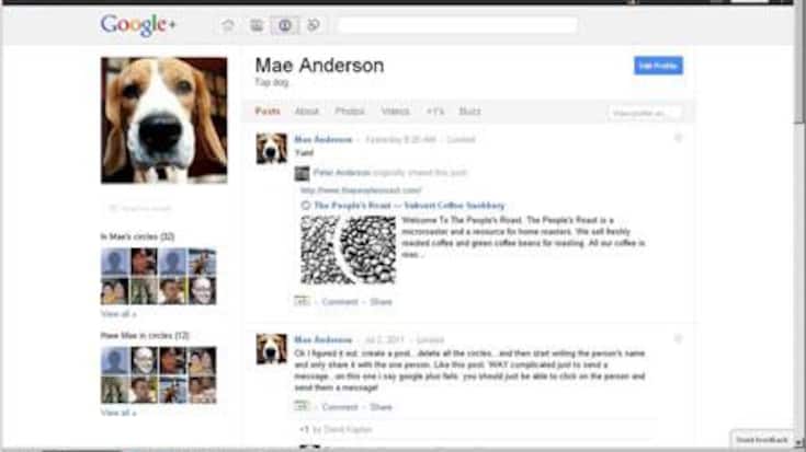google-plus_0.jpg
