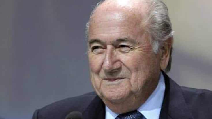 blatter-wieder_0.jpg