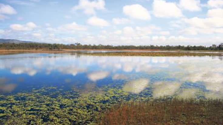 34_mareeba-wetlands.jpg