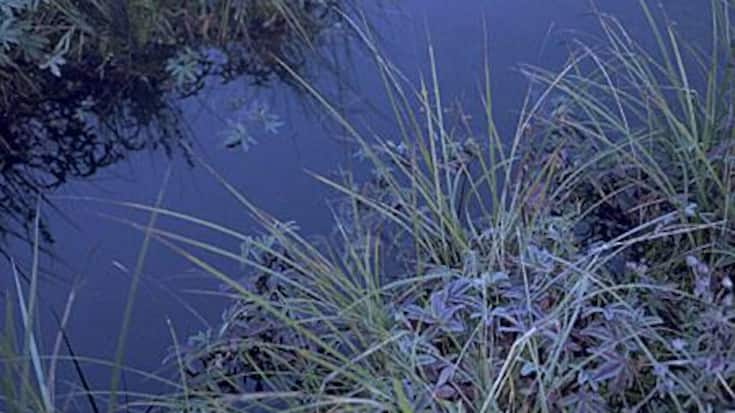 hz_11_comte_lauensee_high_b.jpg