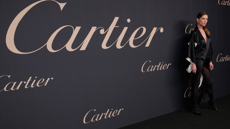 NEW YORK, NY - NOVEMBER 12:  Model Erin Wasson attends The Maison Cartier Celebrates 100th Anniversary Of Their Emblem La Panthere De Cartier! at Skylight Clarkson Sq on November 12, 2014 in New York City.  (Photo by JP Yim/Getty Images)