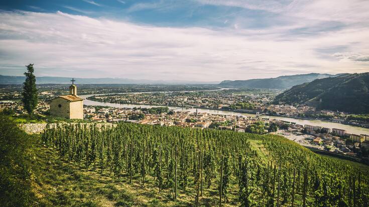 Weinberg «Hermitage»