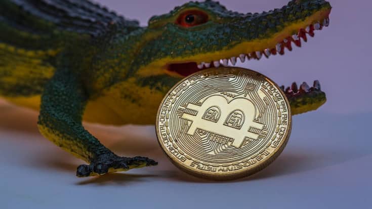 Bitcoin_Cyberwährung_Krokodil