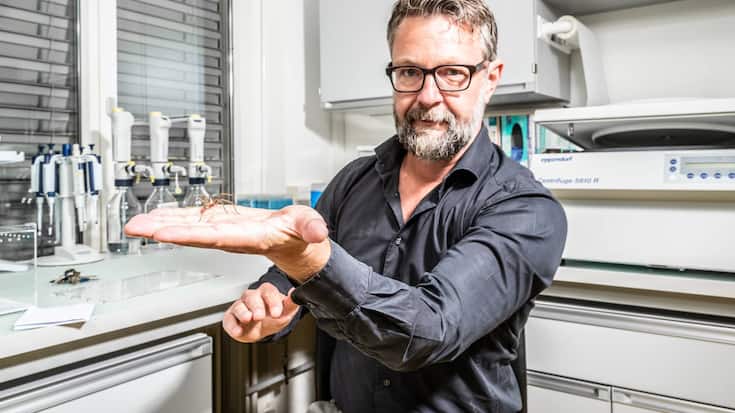 Dominique de Quervain