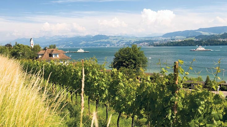 s34_meilen_weinweltfoto.jpg