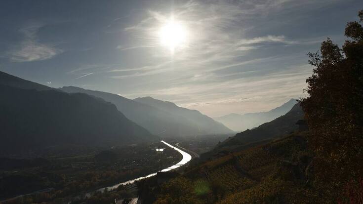 wallis_rebsorten_0.jpg