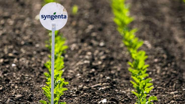 syngenta_chemchina.jpg