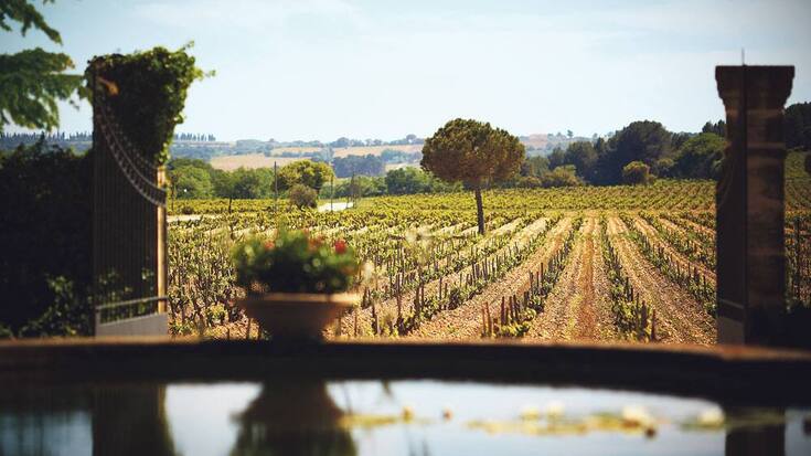 s37_perrin_lebassinduchateaudebeaucastel2_9011.jpg