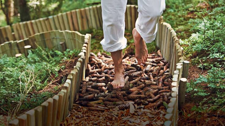 s37_wald_spa.jpg