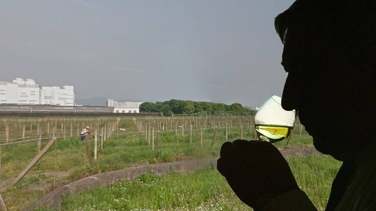 wein_taiwan.jpg
