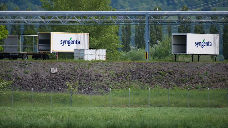 syngenta_9.jpg