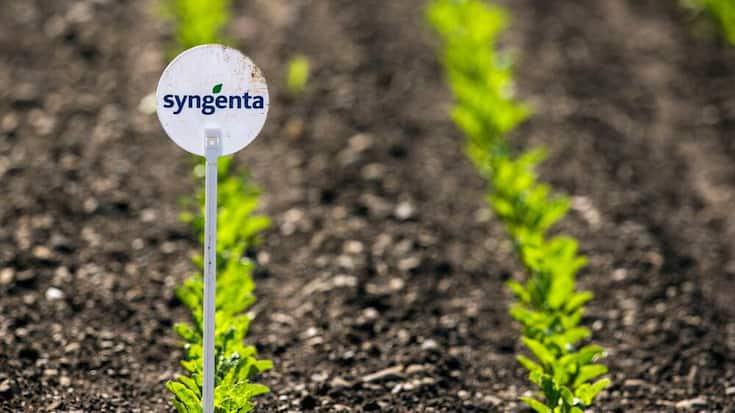 syngenta-1.jpg