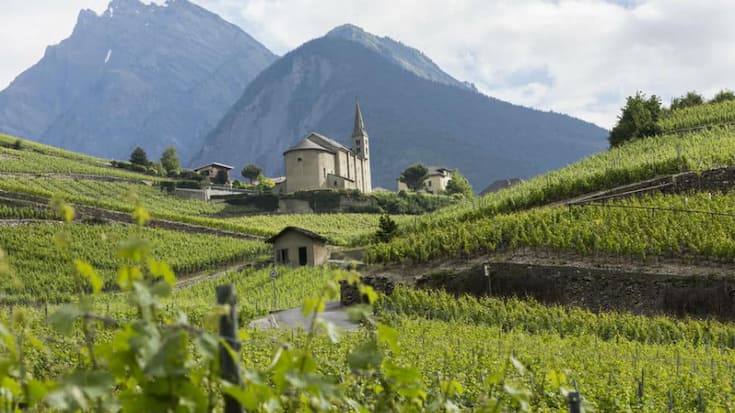weinbau_wallis.jpg