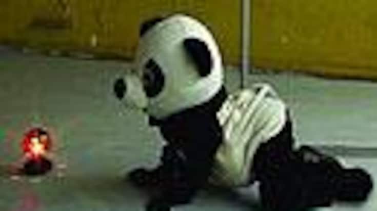1107_071_SPE_Panda.jpg