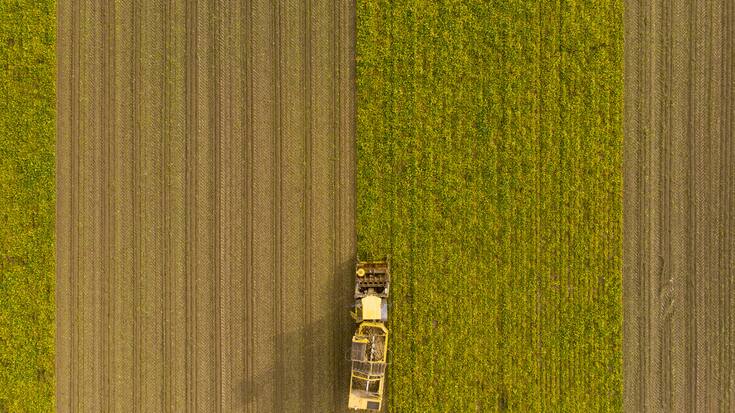HZ: Diversität schützt vor Bussen