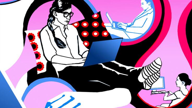 HZ: Das grosse Ausmisten, Illustration