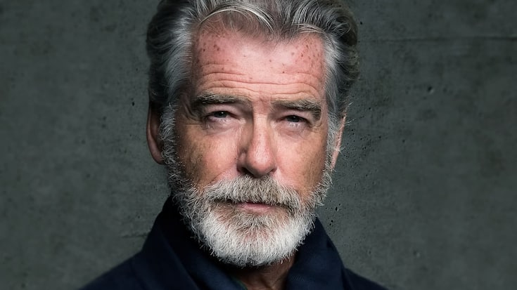 1183436854 Pierce Brosnan