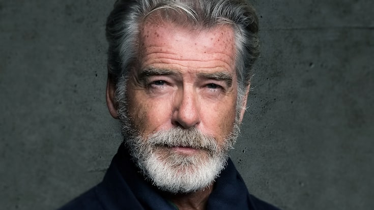 Portrait von Pierce Brosnan