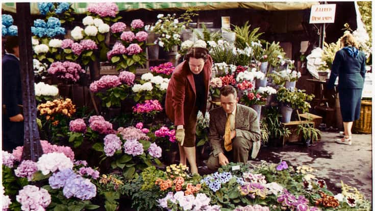 Catherine Dior and her partner Hervé des Charbonneries at the Halles flowers market in Paris, 1947 COLORIZED.tif