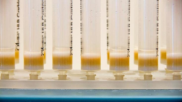 <p>Ampullen in einem Pharma-Labor.</p>