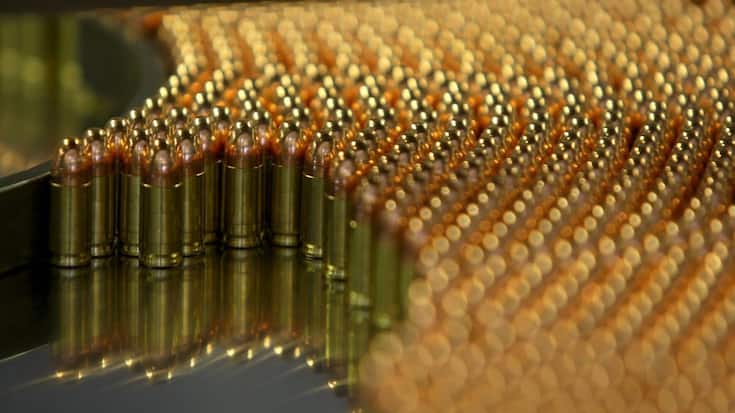 file6zg8ht4y87d12jzguc1i