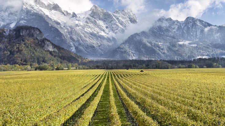 <p>Am Rand des Weindorfs Fläsch im Bündner Rheintal liegen die Weinberge von Gantenbein.</p>