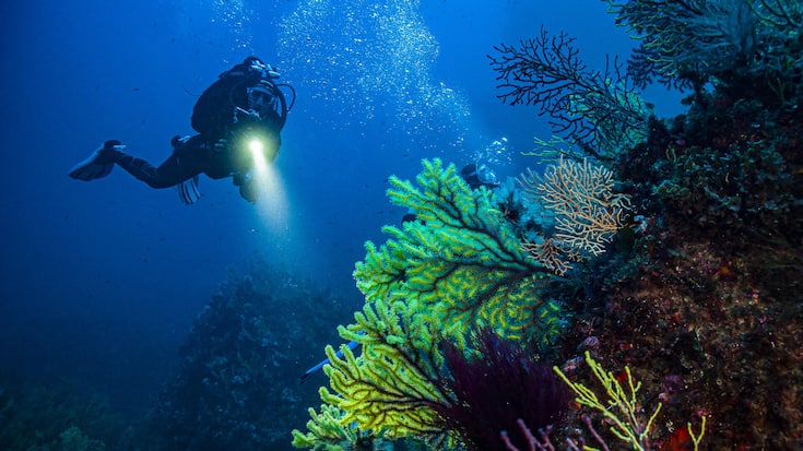 file850kr0fc787y8033f6f