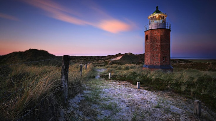 file81n8qley8kn1luvohsm8