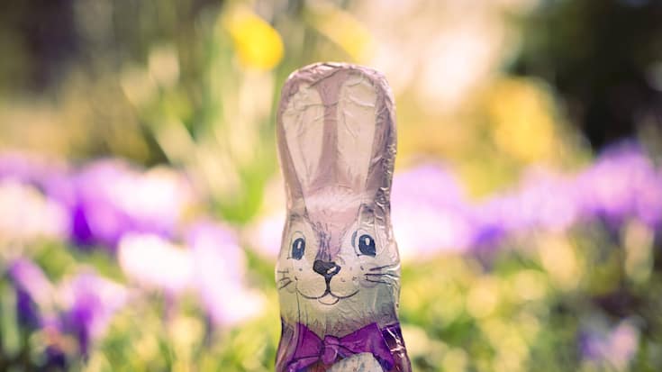 file808wf1jwpk512uxlta38