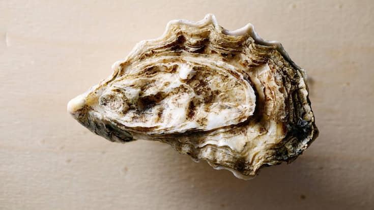 file83cwdd0cl12196x1nvnz