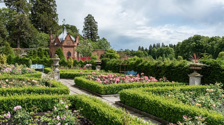 <p>Der Rosengarten innerhalb des «Queen Elizabeth Walled Garden» des Dumfries House – heute «Van Cleef &amp; Arpels Rose Garden» genannt.</p>