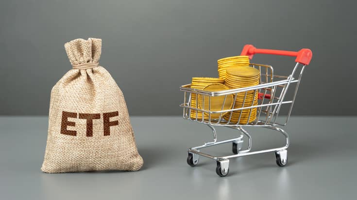 <p>Börsengehandelter Fonds und Einkaufswagen mit Geldmünzen.</p>