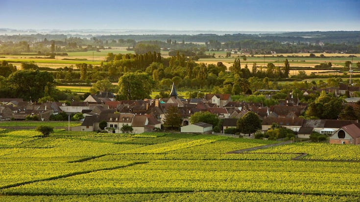 <p>Domaine Leflaive: Das Familienweingut in Puligny-Montrachet gibt es seit 1717. Es gehört zu den renommiertesten Weissweingütern der Welt.</p>