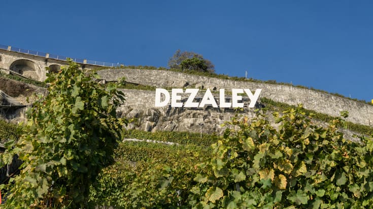 <p>Der Schriftzug wie in Hollywood, die Rebterrassen halsbrecherisch steil: Das Dézaley gehört zu den Spitzenregionen des Schweizer Weinbaus und ist das ideale Terroir für hervorragenden Chasselas.</p>