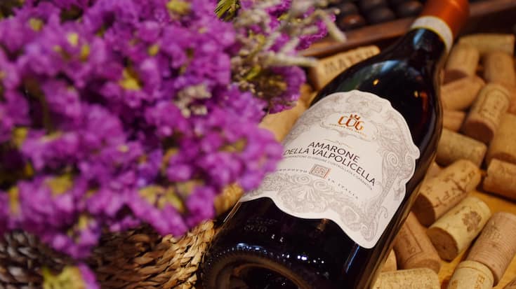 Amarone Wein 