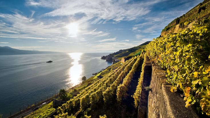 file7borwhot7pfeuub86w7