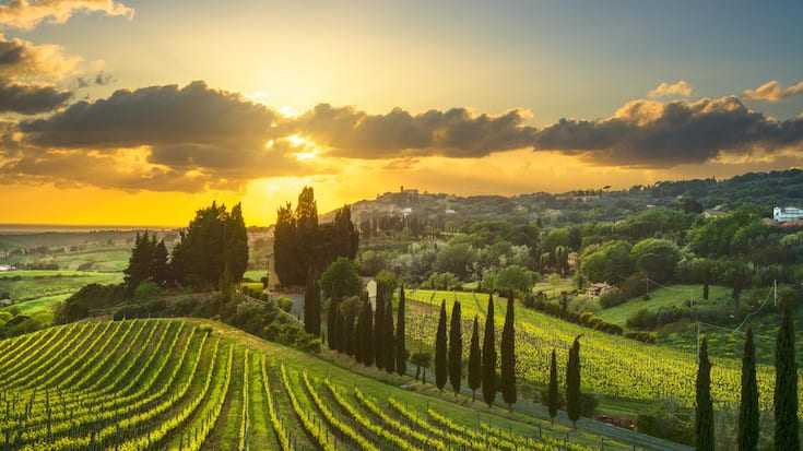 <p>Italien führt zwar das Ranking der weltweiten Weinproduktion an. Doch der Output in den Regionen ist heterogen. In der Toskana schrumpft die Weinproduktion 2025 um 12,5 Prozent gegenüber 2024.</p>